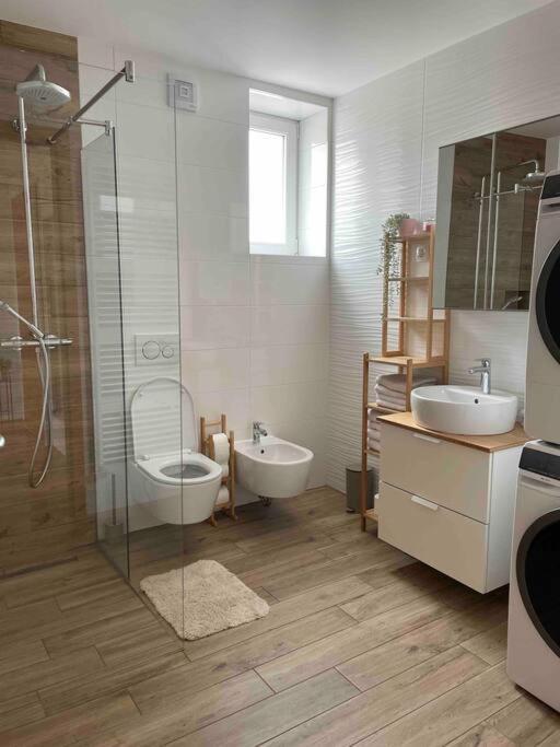 Mely Rose Apartment Ljubljana Luaran gambar