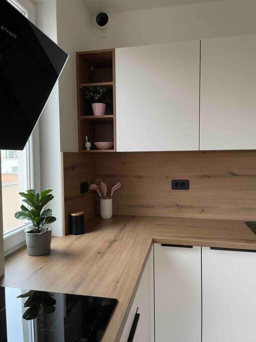 Mely Rose Apartment Ljubljana Luaran gambar